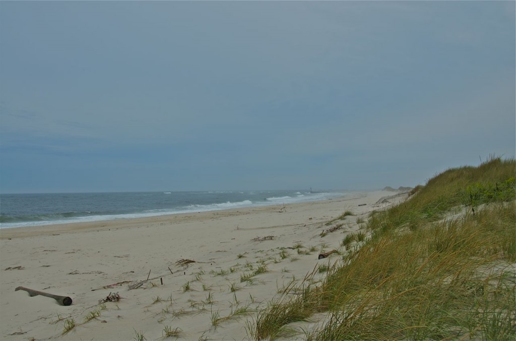 I HEAR THE OCEAN ROAR