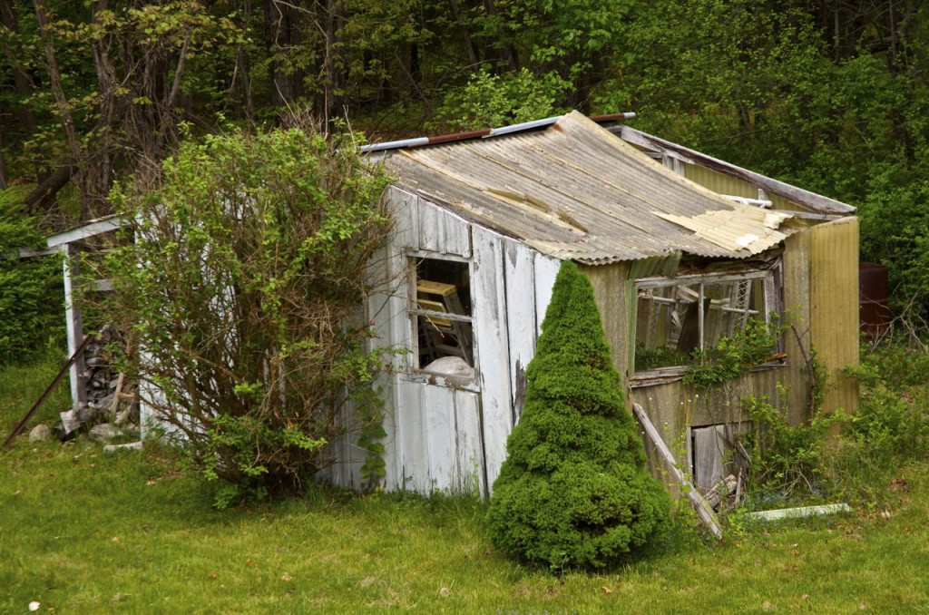 WOODSTOCK AND THE OLD SHED
