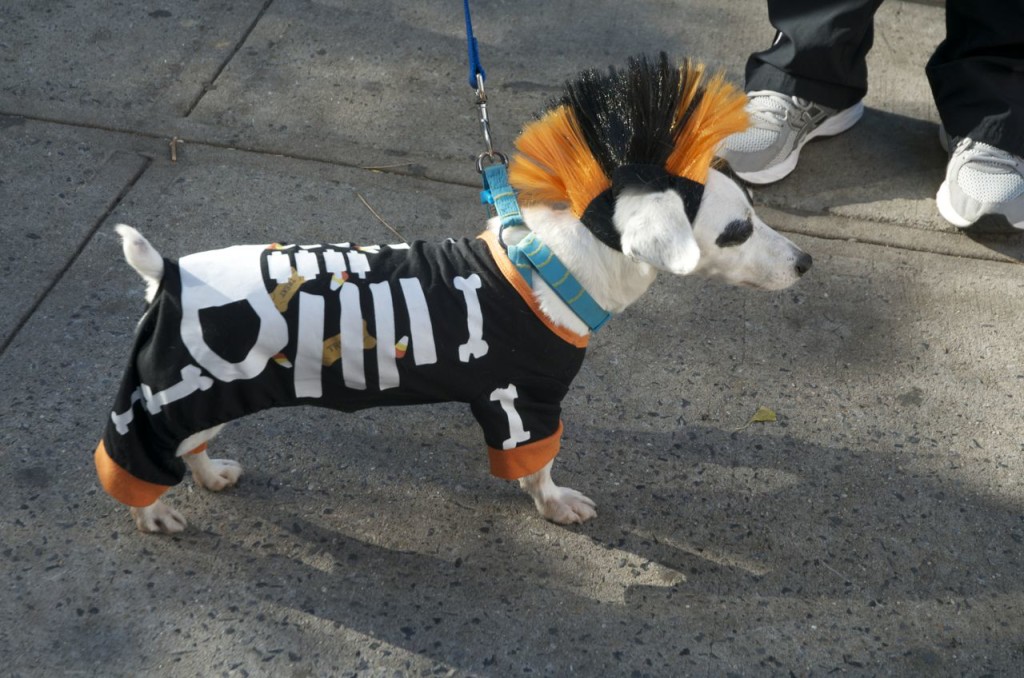 NEW YORK CITY HALLOWEEN PARADE