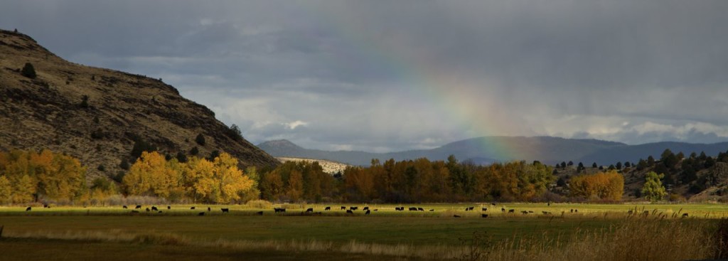 CHASING RAINBOWS AND DRINKING CHOCOLATE WINE